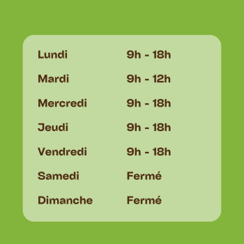 Post instagram Horaires ouverture boutique simple marron (1)